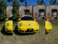 I/VW BEETLE